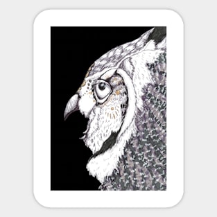 SunOwl Sticker